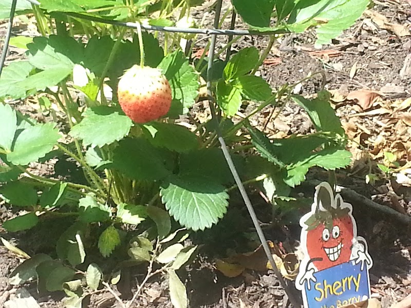 Oxford House North Park - Photo 3